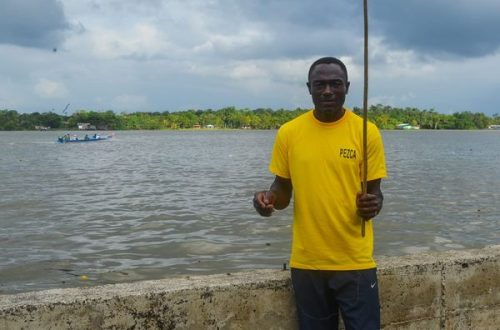 262688127 7403880652970660 2910698065669569868 n